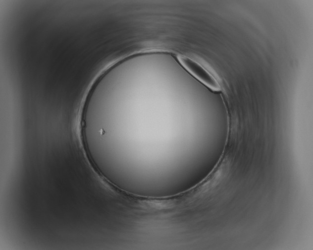 X0000102411197200808011010