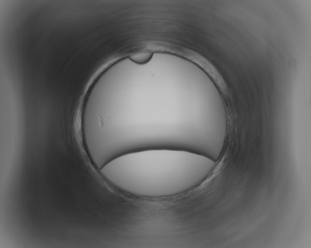 X0000102411198200808011010