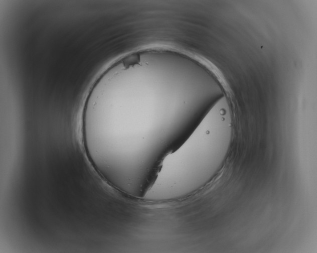 X0000102411199200808011010