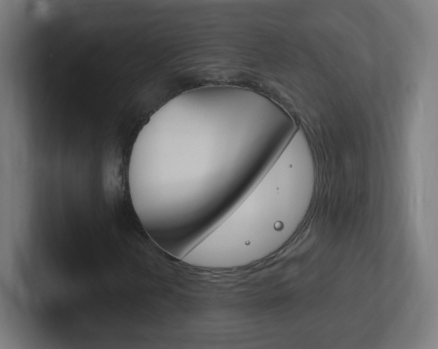 X0000102411202200808011009