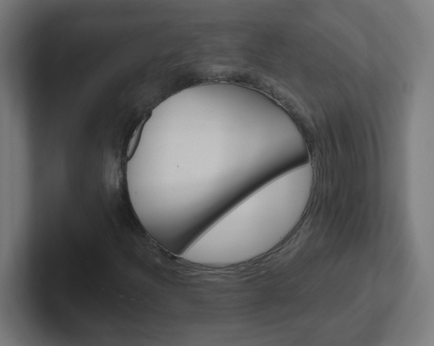 X0000102411204200808011009