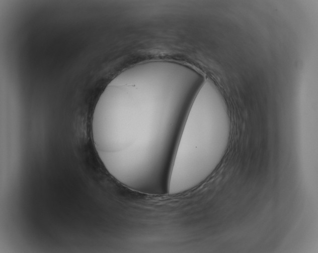 X0000102411205200808011009