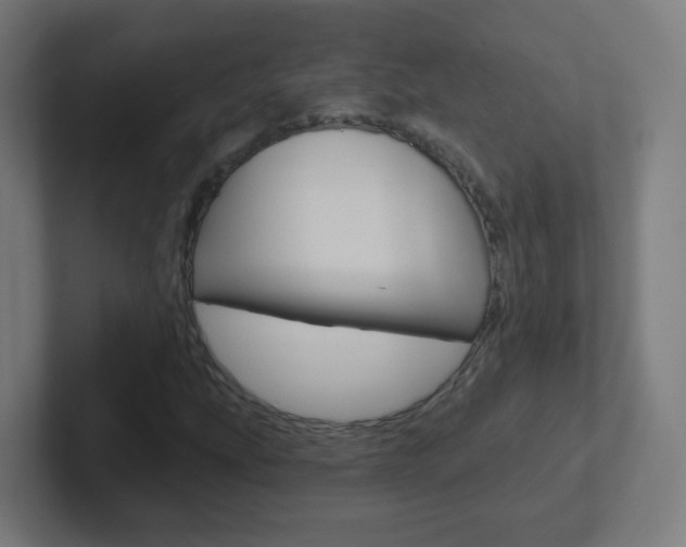 X0000102411207200808011009