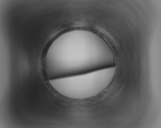 X0000102411208200808011009