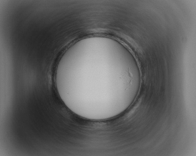 X0000102411209200808011009