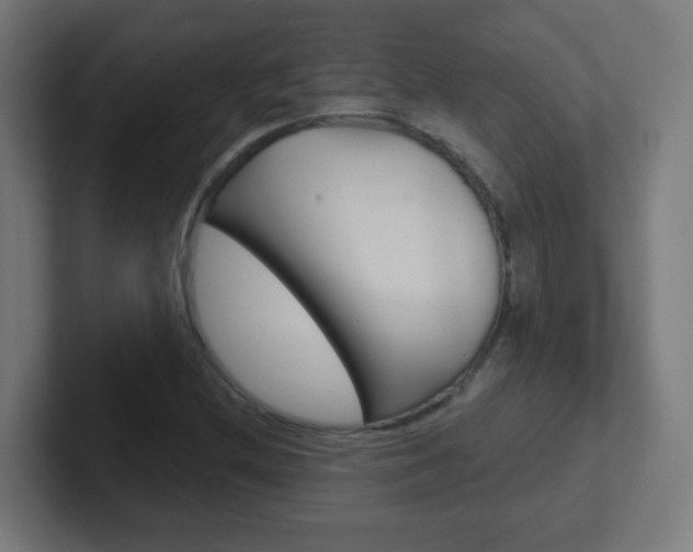 X0000102411212200808011009