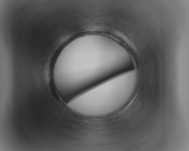 X0000102411213200808011009