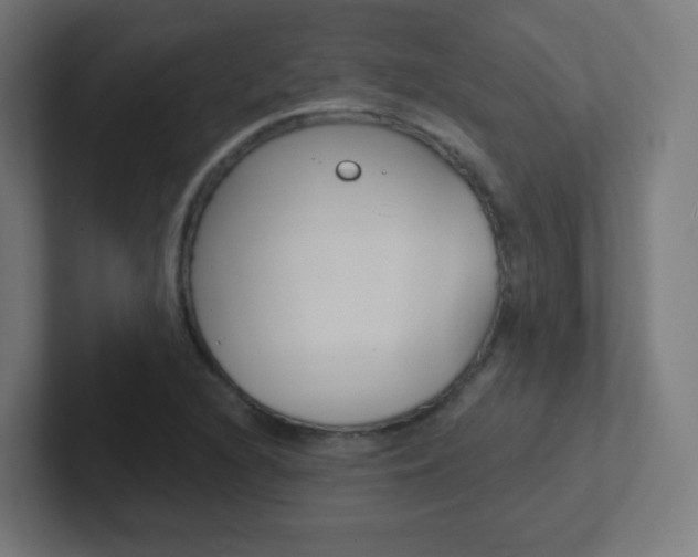 X0000102411216200808011009