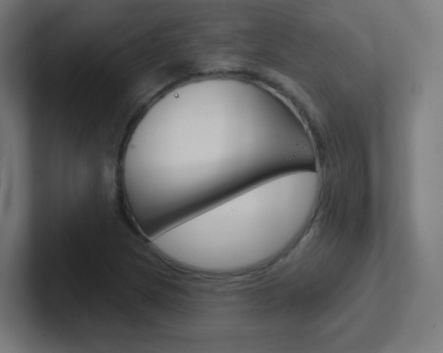 X0000102411217200808011009