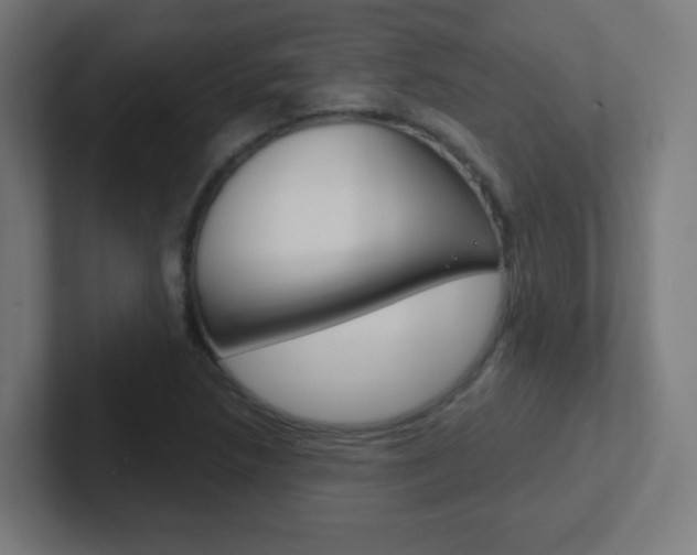 X0000102411218200808011009