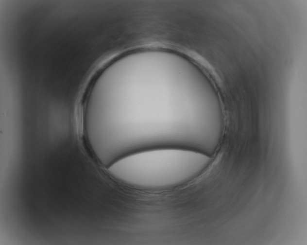 X0000102411223200808011009