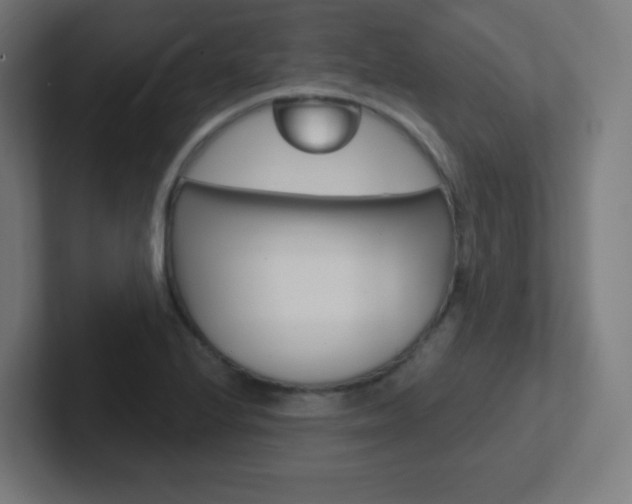 X0000102411224200808011009