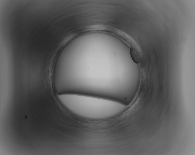 X0000102411225200808011009