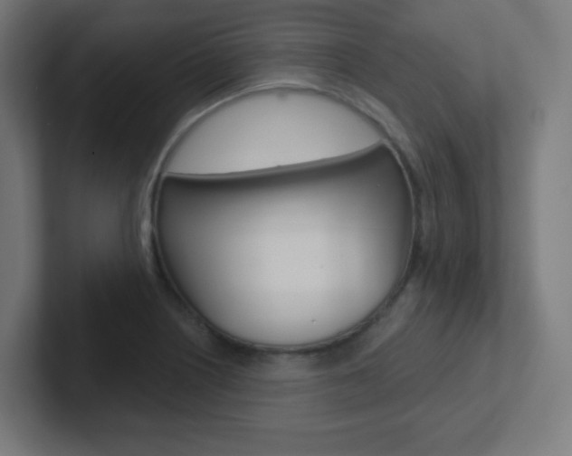 X0000102411226200808011009