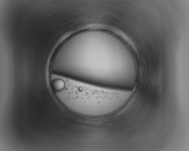 X0000102411229200808011009