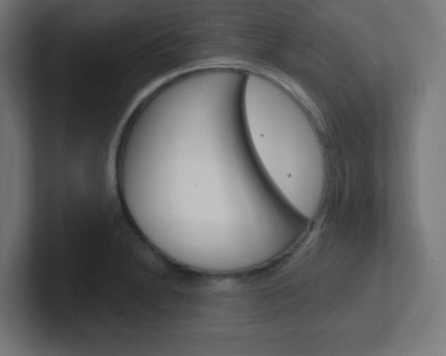 X0000102411230200808011009