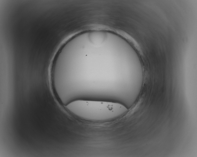 X0000102411231200808011009