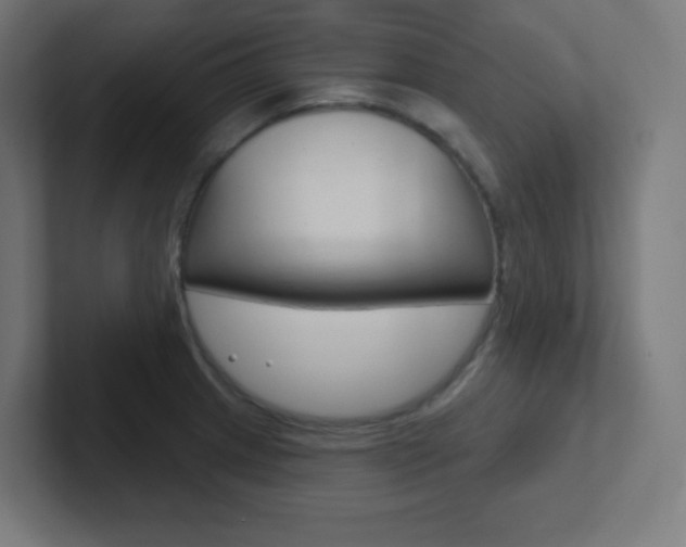 X0000102411233200808011009