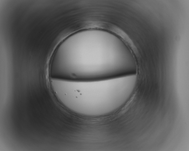 X0000102411234200808011009