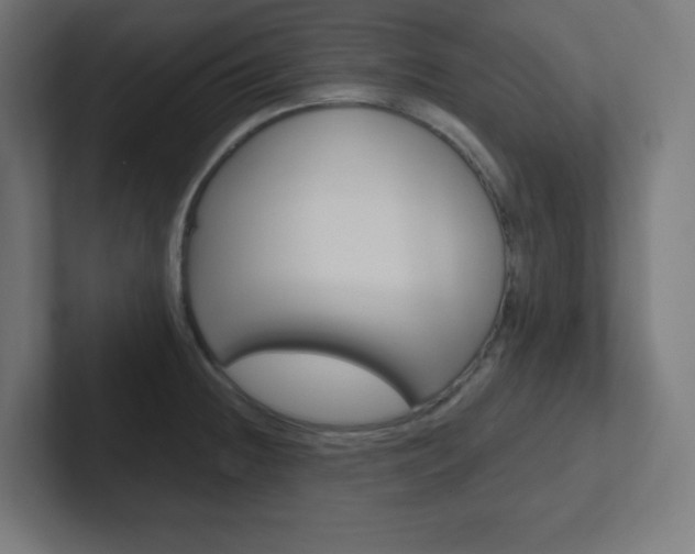 X0000102411236200808011009