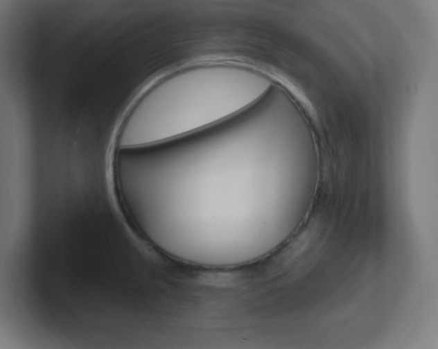 X0000102411237200808011009