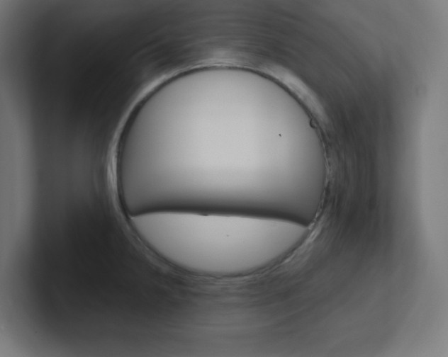 X0000102411238200808011009