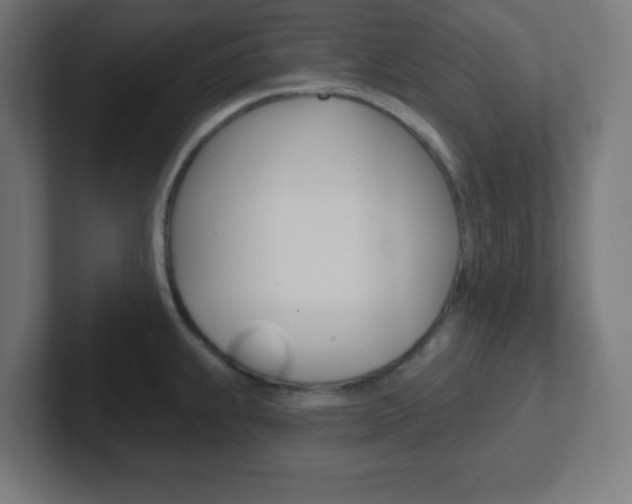 X0000102411239200808011009