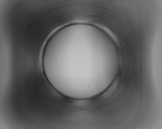 X0000102411240200808011009