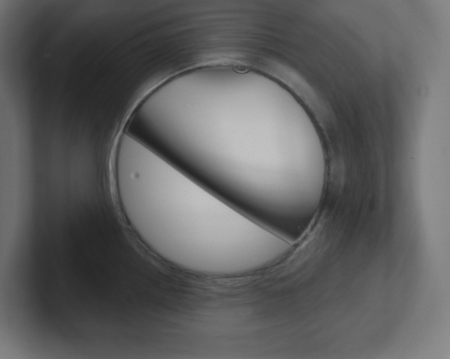 X0000102411242200808011009