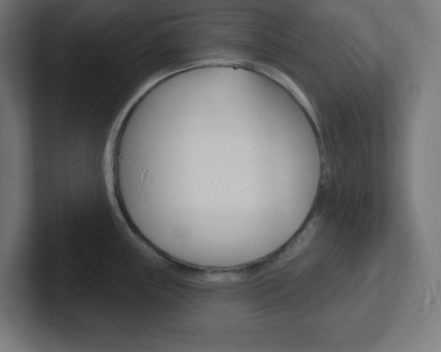 X0000102411243200808011009