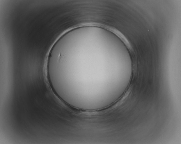X0000102411244200808011009