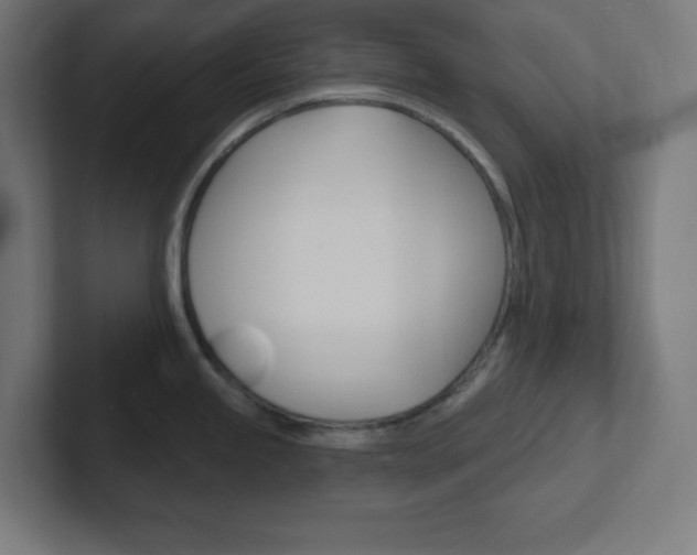 X0000102411245200808011010