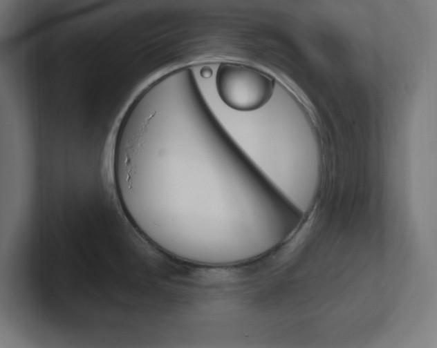 X0000102411246200808011010