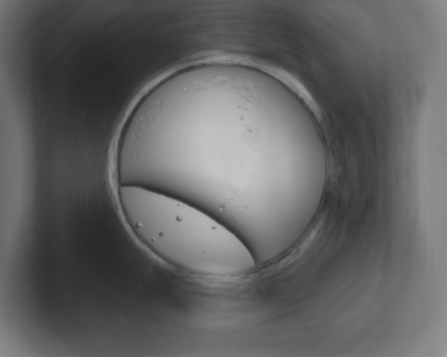 X0000102411247200808011010
