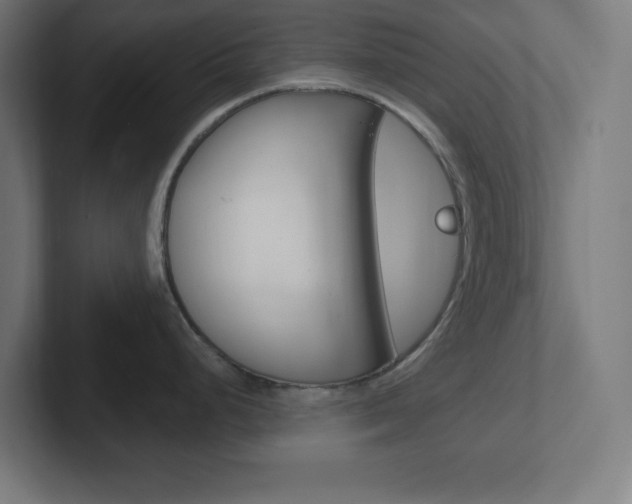 X0000102411248200808011010