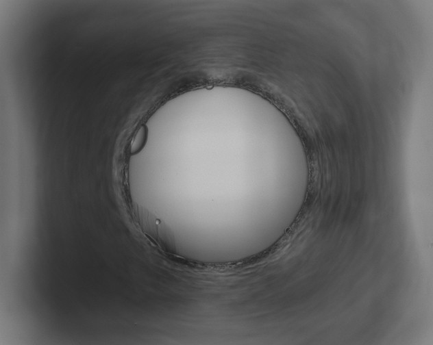 X0000102411249200808011009