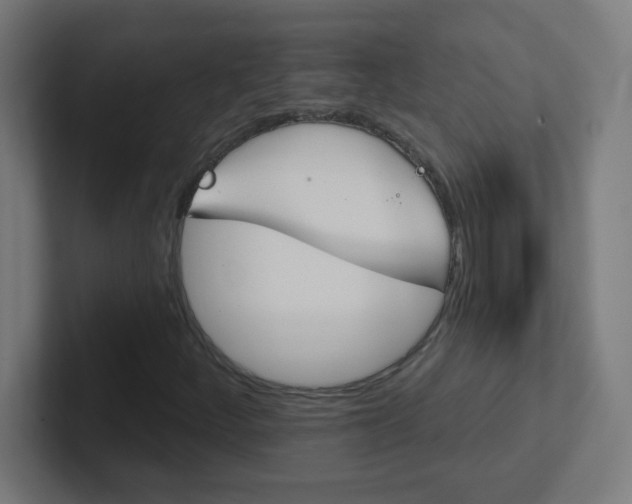 X0000102411252200808011009
