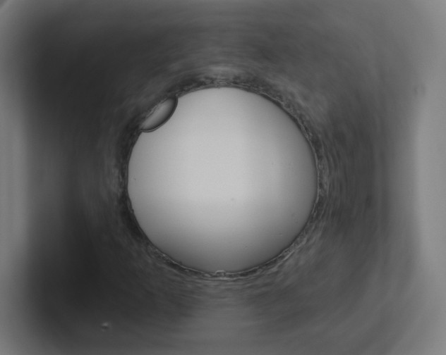 X0000102411253200808011009