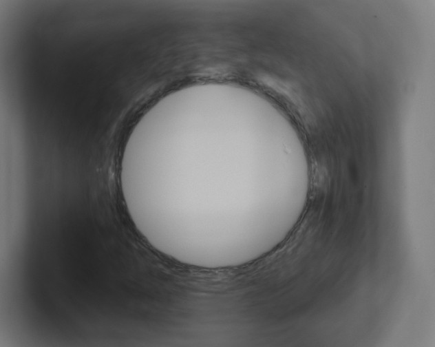 X0000102411254200808011009
