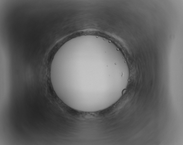 X0000102411255200808011009