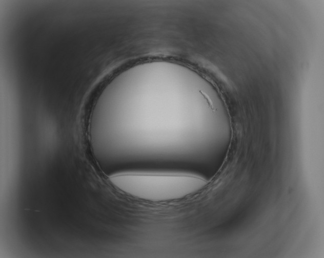 X0000102411256200808011009