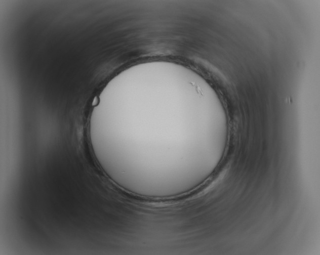 X0000102411257200808011009