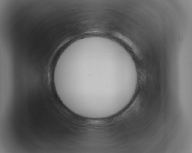 X0000102411258200808011009