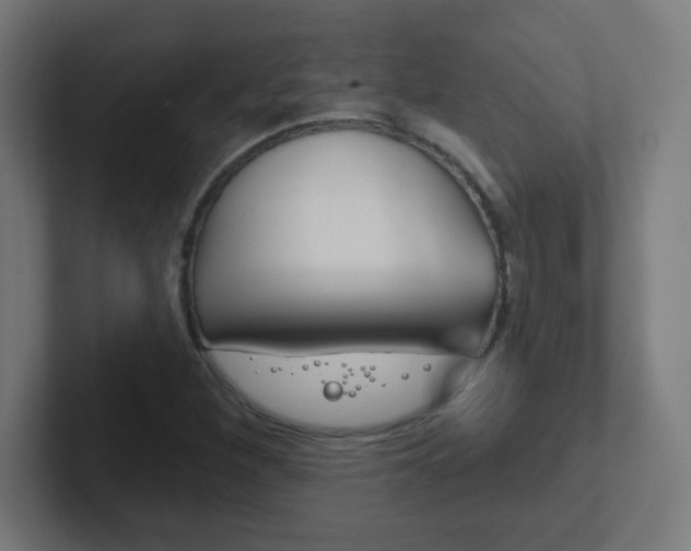 X0000102411260200808011009