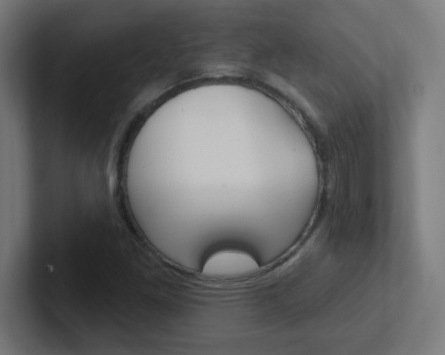 X0000102411261200808011009