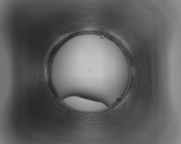 X0000102411262200808011009