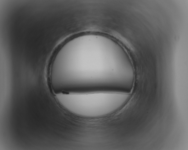 X0000102411264200808011009