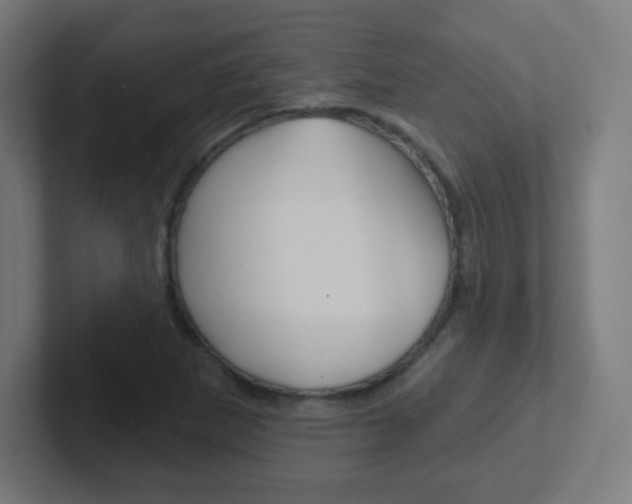 X0000102411265200808011009