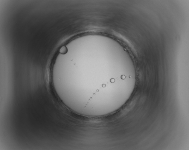 X0000102411267200808011009