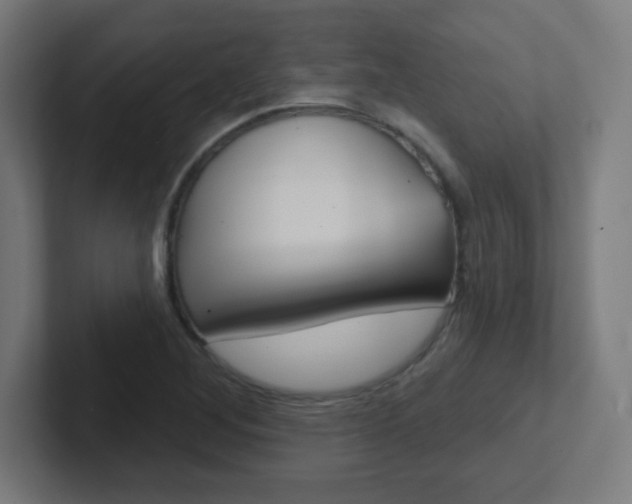 X0000102411268200808011009